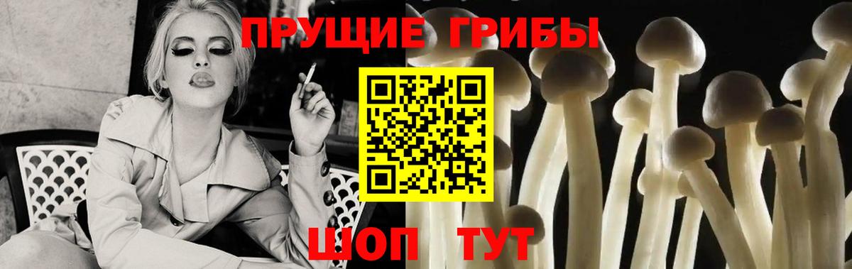 Галлюциногенные грибы Psilocybe Новокуйбышевск